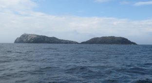 Маленький шотландский остров, который корабельные крысы сделали необитаемым (5 фото)