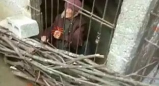 Невероятная жестокость: 92-летнюю бабулю родственники годами держали в грязной и холодной клетке (4 фото + 1 видео)
