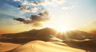Что вы могли не знать о пустыне Сахара (11 фото)