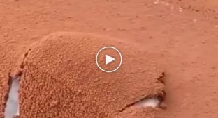 Зрелищное видео из Саудовской Аравии. Мороженое из снега и песка
