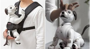 Sony выпустила переноску для своей робо-собаки (5 фото)