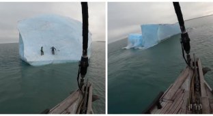 Участники экспедиции в Арктике забрались на айсберг и перевернулись вместе с ним (3 фото + 1 видео)