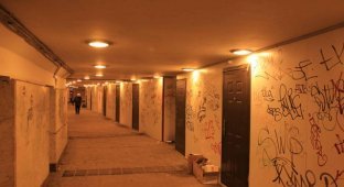 Нужна ли торговля в подземных переходах? (11 фото)