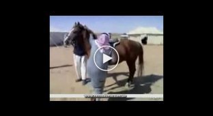 Арабы мучают бедную лошадку