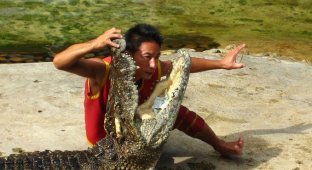  Укротители крокодилов (5 Фото)