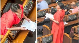 Красное платье Савченко оказалось прошлогодней моделью за 890 гривен