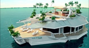 Уникальный дом-остров стоимостью 6,5 млн долларов (10 фото)
