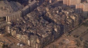 Печальная история китайского города-крепости Коулуна, который снесли в 1994 году (24 фото + 1 видео)
