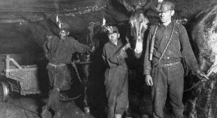 Худшие вакансии, которые предлагали на рынке труда в начале XX века (11 фото)