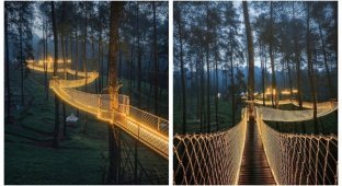 Путешествуем онлайн: самый волшебный мост в Индонезии (7 фото)