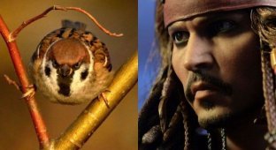 За что главный персонаж «Пиратов Карибского моря» получил свое прозвище? (3 фото)