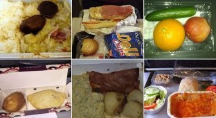 Самая отвратительная еда в самолетах (11 фото)