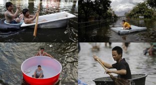Как находчивые тайцы справляются с последствиями наводнения (19 фото)