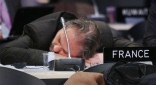 Спящие политики (15 фото)
