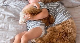 Милая дружба приёмного ребёнка и его собаки по кличке Рейган (12 фото)