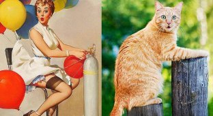Кошки и девушки в стиле пинап (21 фото)