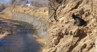 Мужчина спас собаку, застрявшую на обрыве скалы (5 фото)