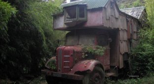 Необычная эстетика домов-грузовиков (27 фото)
