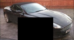 Собака погрызла дорогостоящий Aston Martin (5 фото)