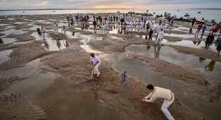 Яхтсмены сыграли в крикет на морском дне (13 фото)
