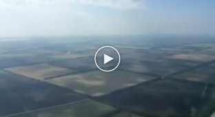 Российские пилоты сняли на видео, как птица влетела в лобовое стекло самолета (мат)