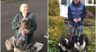 74-летний ветеран уже 13 лет выгуливает собак пожилых и больных людей (5 фото)