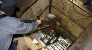 Подземные тоннели мексиканских контрабандистов (30 фото)