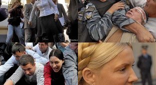 Юлия Тимошенко арестована (14 фото)