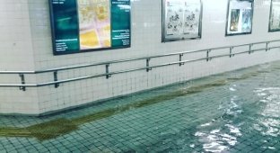 Плавательный бассейн в метро Японии (4 фото)