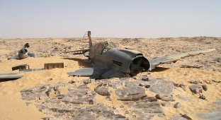 В Сахаре нашли самолет Королевских ВВС времен Второй мировой (17 фото)