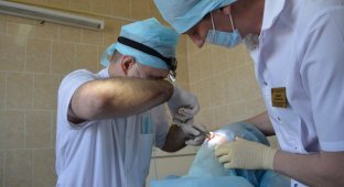 В Тюменской области женщине удалили зуб из носа. Зубная фея в шоке (3 фото)