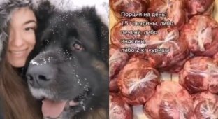 "Это кощунство!": российская пенсионерка разозлилась, услышав о рационе огромного пса (3 фото + 2 видео)