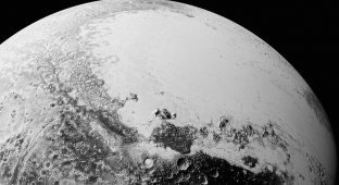 Учёные совершили открытие на Плутоне: внеземная жизнь возможна (2 фото + 1 видео)