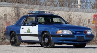 Редкий полицейский Ford Mustang с дробовиком продадут с аукциона (15 фото)