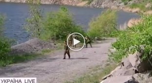 В Донецке боевики испробовали русскую установку Град-П