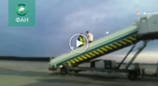Пьяный пассажир устроил драку с сотрудником службы безопасности аэропорта Домодедово