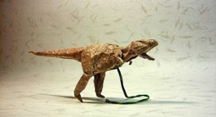 Динозавры из оригами: фотоподборка (16 фото)