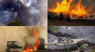 Лесные пожары бушуют в Техасе (46 фото)