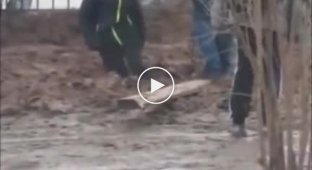 В Малоярославце мальчика засосало в грязь рядом со школой