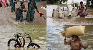 Последствия наводнений в Индии и Пакистане (40 фото)