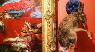 Выставка чучел животных вызвала недовольство среди посетителей Эрмитажа (4 фото)
