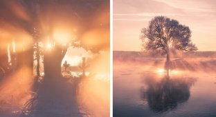 Белорусский фотограф встаёт рано на рассвете, чтобы запечатлеть красоту зимы (12 фото)