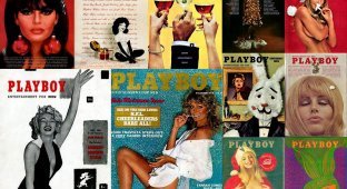12 лучших обложек Playboy (12 фото)