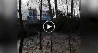 В Кингисеппском районе Петербурга обнаружили бетонный лес