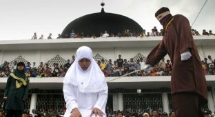 За свидание - розги: как исламисты карают прелюбодеев (12 фото)
