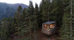 Уникальные домики на деревьях Woodnest парят в норвежском лесу (7 фото)