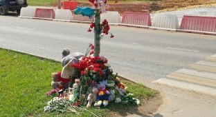 Соседка рассказала о семье из Солнцево, где погибли сбитые дети (2 фото)