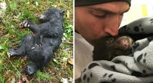 Фотограф спас умирающего медвежонка, рискуя попасть за это в тюрьму (5 фото)