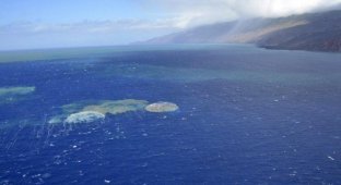 Подводное извержение вулкана на Канарский островах (10 фотографий)