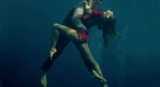 Танго под водой (9 фото)